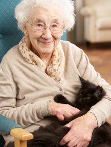 elderly lady with a pleasant smile